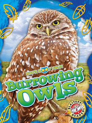 cover image of Burrowing Owls